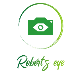 Robert's Eye